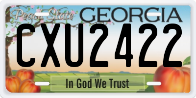 GA license plate CXU2422