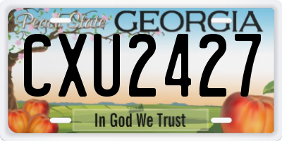 GA license plate CXU2427