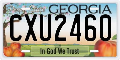 GA license plate CXU2460