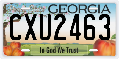 GA license plate CXU2463