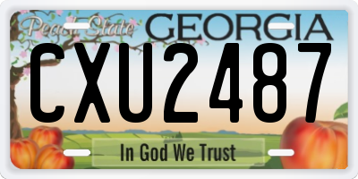 GA license plate CXU2487