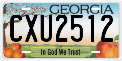 GA license plate CXU2512