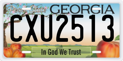 GA license plate CXU2513