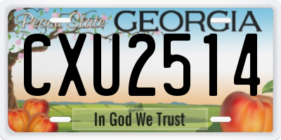 GA license plate CXU2514