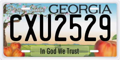 GA license plate CXU2529