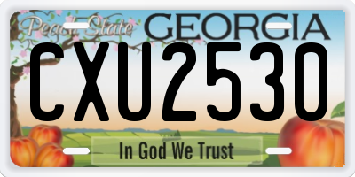 GA license plate CXU2530