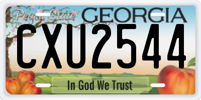 GA license plate CXU2544