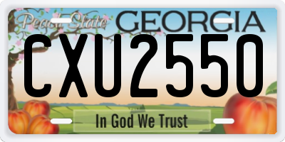 GA license plate CXU2550