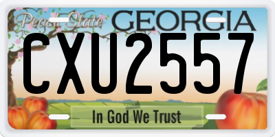 GA license plate CXU2557