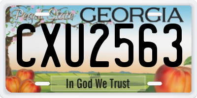 GA license plate CXU2563