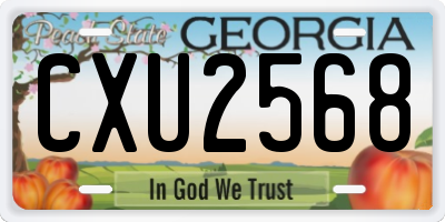 GA license plate CXU2568