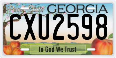 GA license plate CXU2598