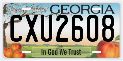 GA license plate CXU2608