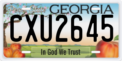 GA license plate CXU2645