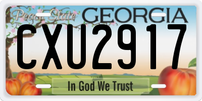 GA license plate CXU2917