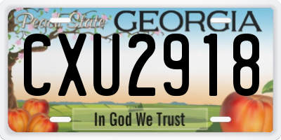 GA license plate CXU2918