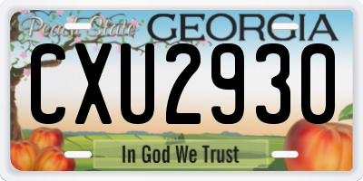 GA license plate CXU2930