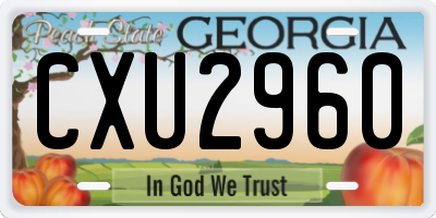 GA license plate CXU2960