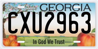GA license plate CXU2963