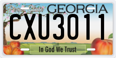 GA license plate CXU3011