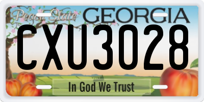 GA license plate CXU3028