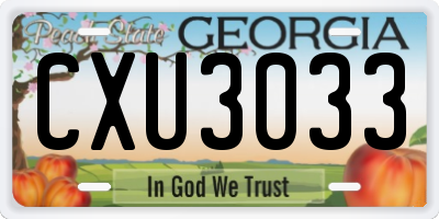 GA license plate CXU3033
