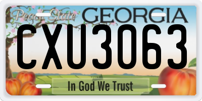 GA license plate CXU3063