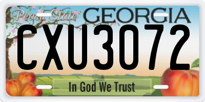 GA license plate CXU3072