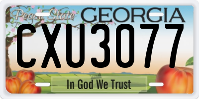 GA license plate CXU3077