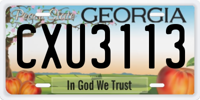 GA license plate CXU3113