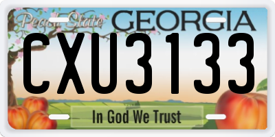 GA license plate CXU3133