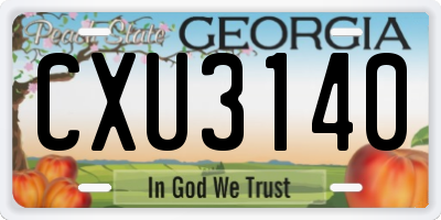 GA license plate CXU3140