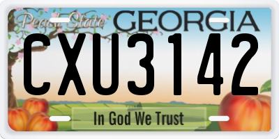 GA license plate CXU3142