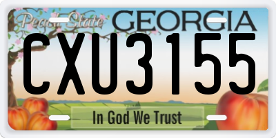 GA license plate CXU3155