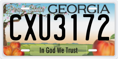 GA license plate CXU3172