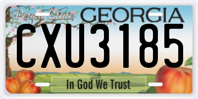 GA license plate CXU3185