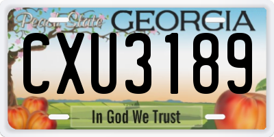 GA license plate CXU3189