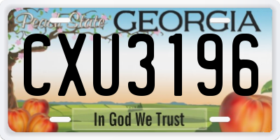 GA license plate CXU3196