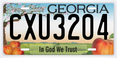GA license plate CXU3204