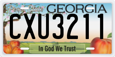 GA license plate CXU3211
