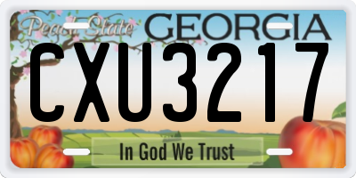 GA license plate CXU3217