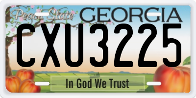 GA license plate CXU3225