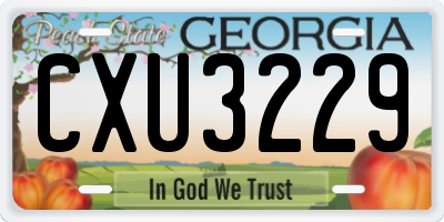 GA license plate CXU3229