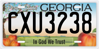 GA license plate CXU3238