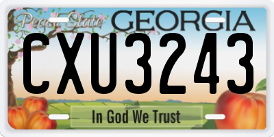 GA license plate CXU3243