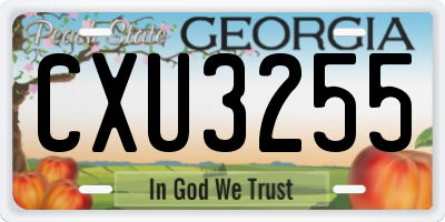 GA license plate CXU3255