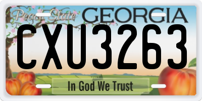 GA license plate CXU3263