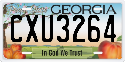 GA license plate CXU3264