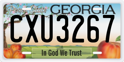 GA license plate CXU3267