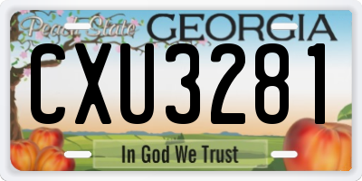 GA license plate CXU3281